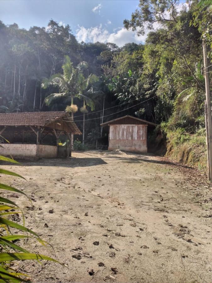 Lote/Terreno de 3519m² no bairro SÃO PEDRO, em Guabiruba | Eu Corretor