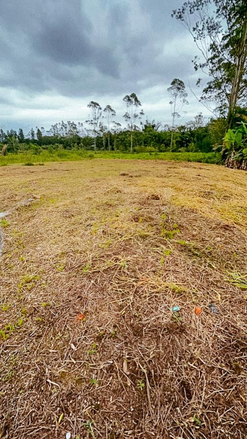 Lote/Terreno de 423m² no bairro SÃO PEDRO, em Brusque | Eu Corretor